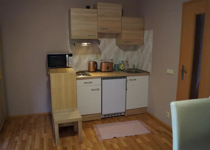 Januv Kout * Turnov